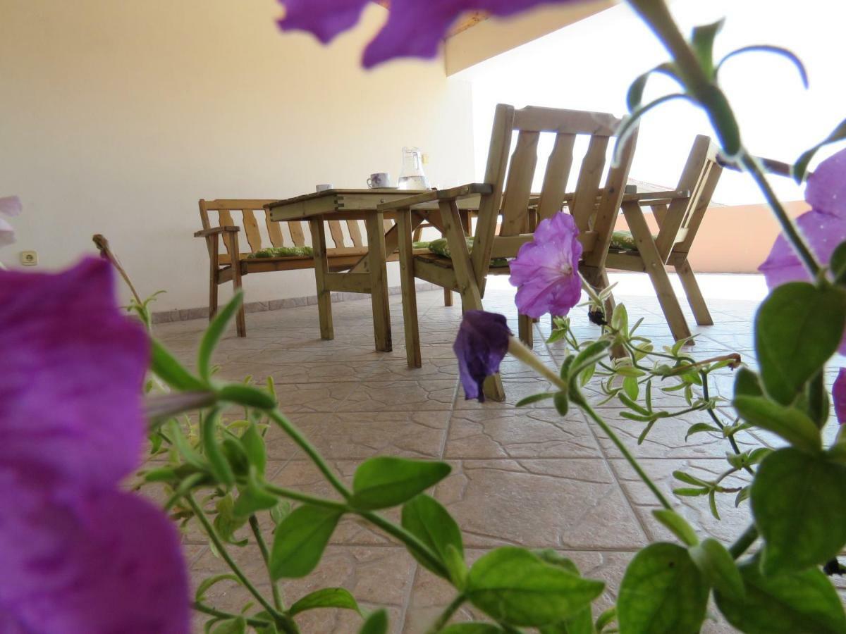 Guesthouse Dila Galovac  Esterno foto